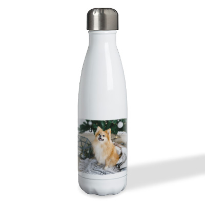 AccessibilityGiftsProductThermoBottle